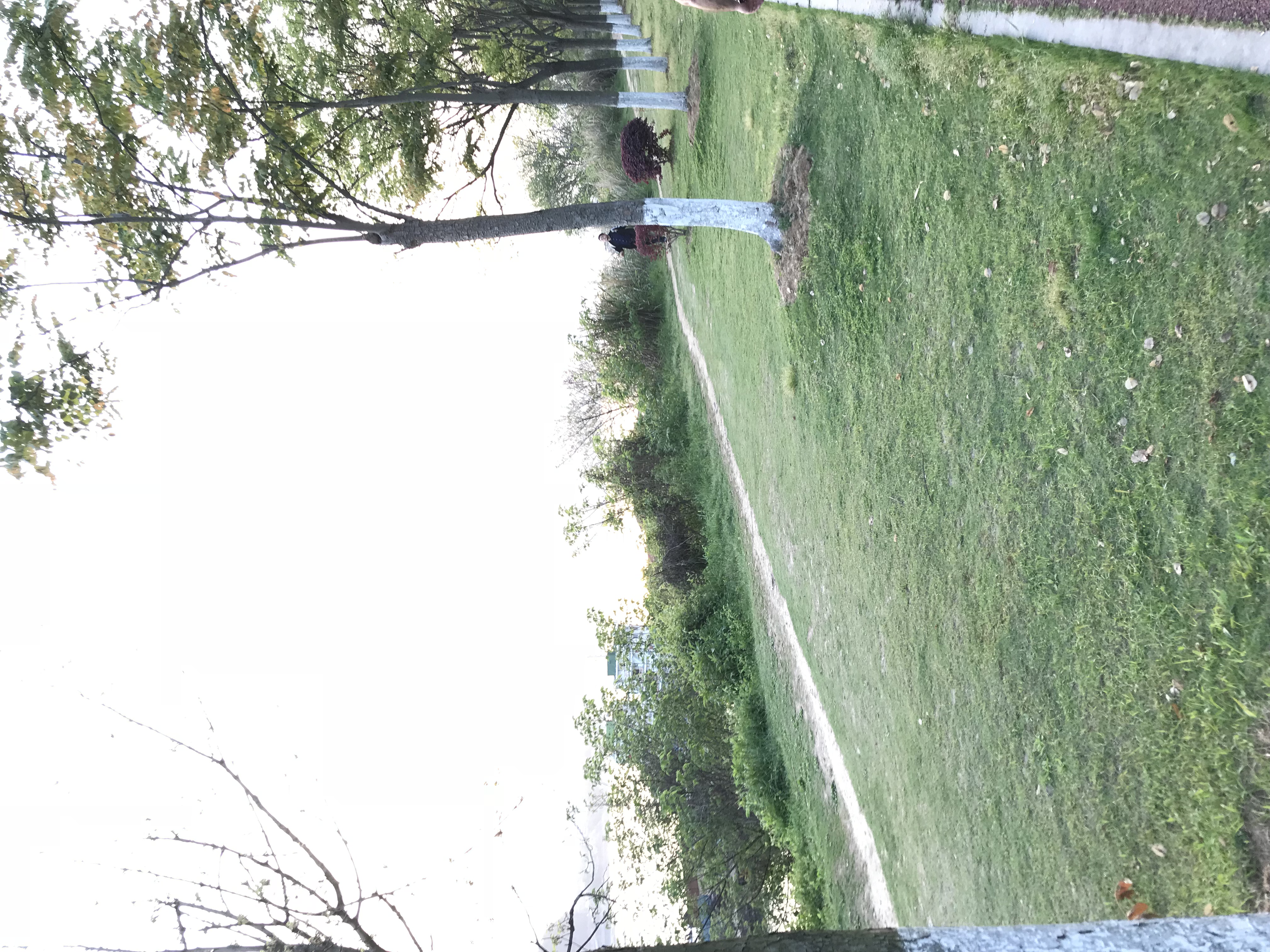 ./2018/03 - Viking China/18 - YiChang/IMG_8686.JPG